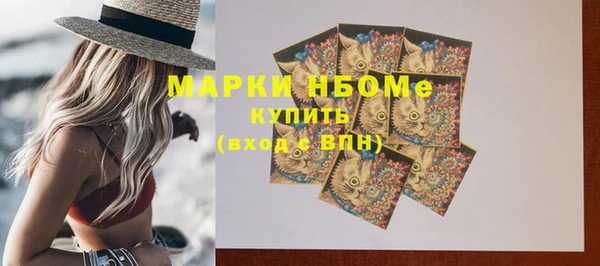 стаф Богданович