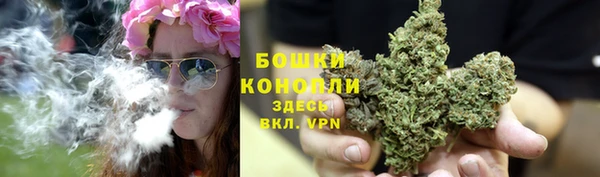молекула духа Богородск