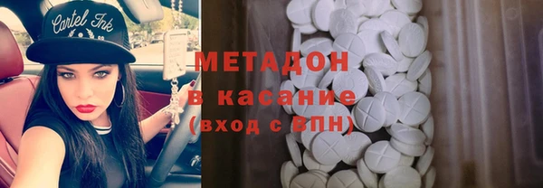 стаф Богданович