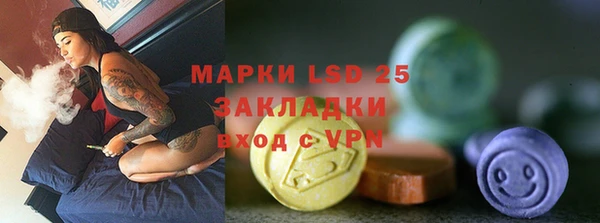 стаф Богданович