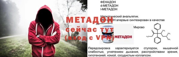 стаф Богданович