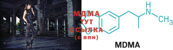 стаф Богданович
