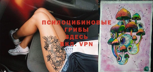 ГАЛЛЮЦИНОГЕННЫЕ ГРИБЫ Богородицк