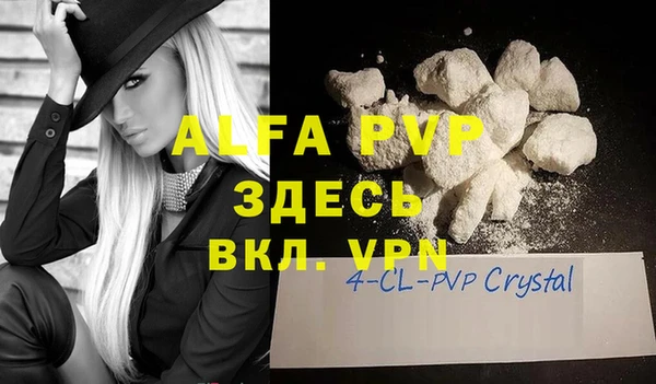 стаф Богданович