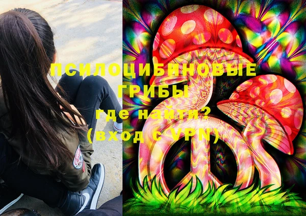 молекула духа Богородск