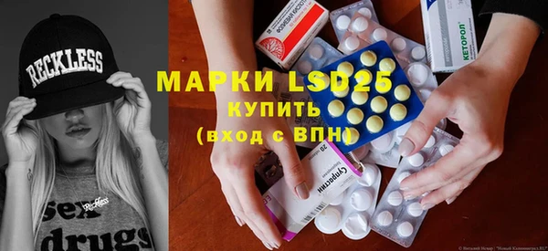 стаф Богданович