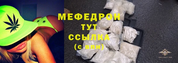 стаф Богданович